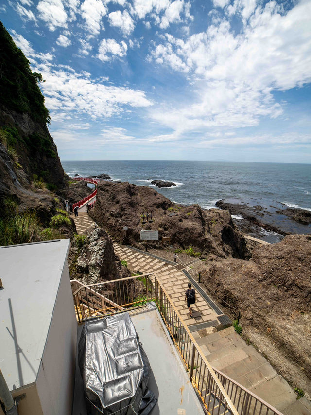 何度でも訪れたい、江ノ島スナップ旅📸🌊
