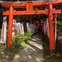 【福岡県太宰府市🇯🇵天開稲荷社】九州最古のお稲荷さんへ☺️