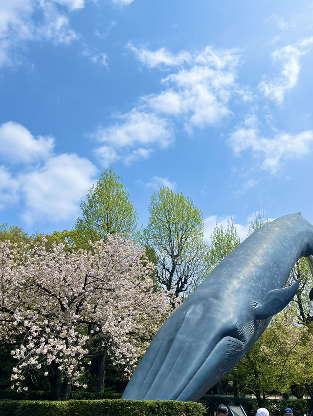 ワクワクが止まらない！上野・国立科学博物館で“知の冒険”に出発しよう！