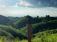 เที่ยวถนนเทเลทับบี้ ร้องกวาง แพร่ ⛰️🌾