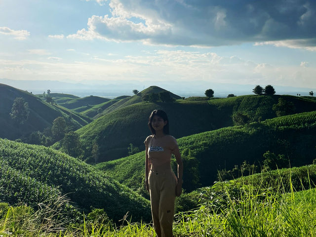 เที่ยวถนนเทเลทับบี้ ร้องกวาง แพร่ ⛰️🌾