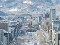【都会と自然が共存する街、札幌駅周辺をスナップ散歩📸】