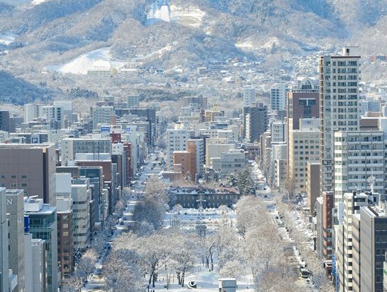 【都会と自然が共存する街、札幌駅周辺をスナップ散歩📸】