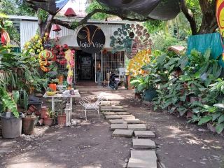 Solo in Bacolod
