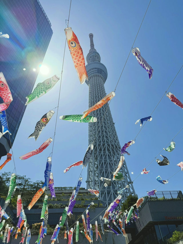 Springtime at Tokyo Skytree – Flowers & Koinobori Galore!