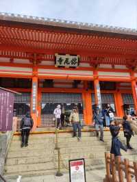 大阪郊區秘境一日遊，勝尾寺祈福 × 箕面瀑布森林漫步