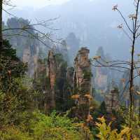 Zhangjiajie National Forest Park: A Natural Masterpiece