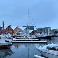 5-Day Tromsø in Norway Itinerary
