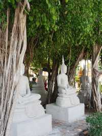 🏯 Phra That Kaen Nakhon