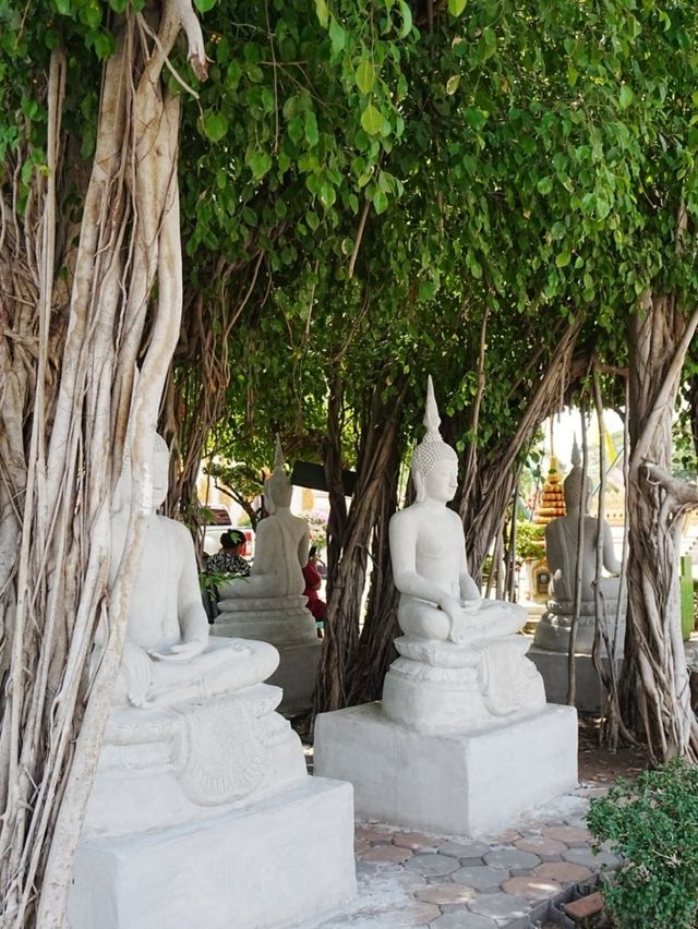 🏯 Phra That Kaen Nakhon