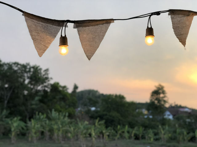 Alive in Every Way — Hatyai’s Most Whimsical Eatery