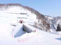 กาล่า ยูซาว่า (GALA Yuzawa Snow Resort)