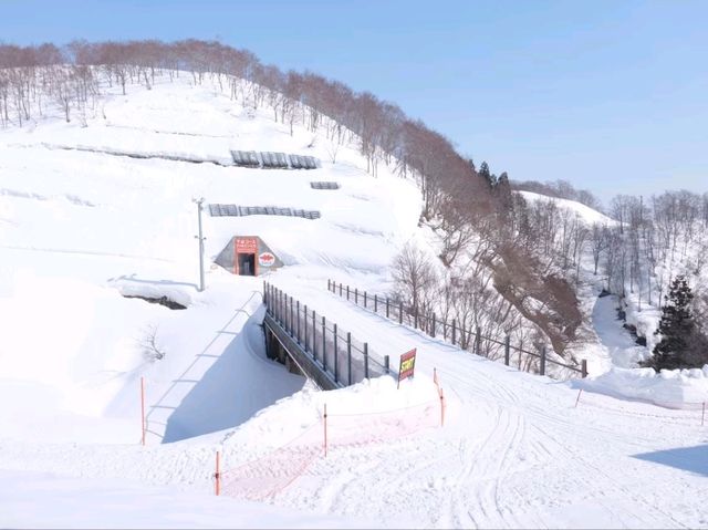 กาล่า ยูซาว่า (GALA Yuzawa Snow Resort)