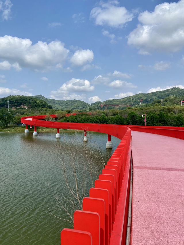 沉浸在陽光下的紅色浪漫和悠閒時光💕✨ 深圳虹橋公園🌉