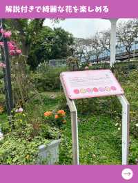 【台北女一人旅】松山空港近く！無料で英国庭園が楽しめる隠れスポット！