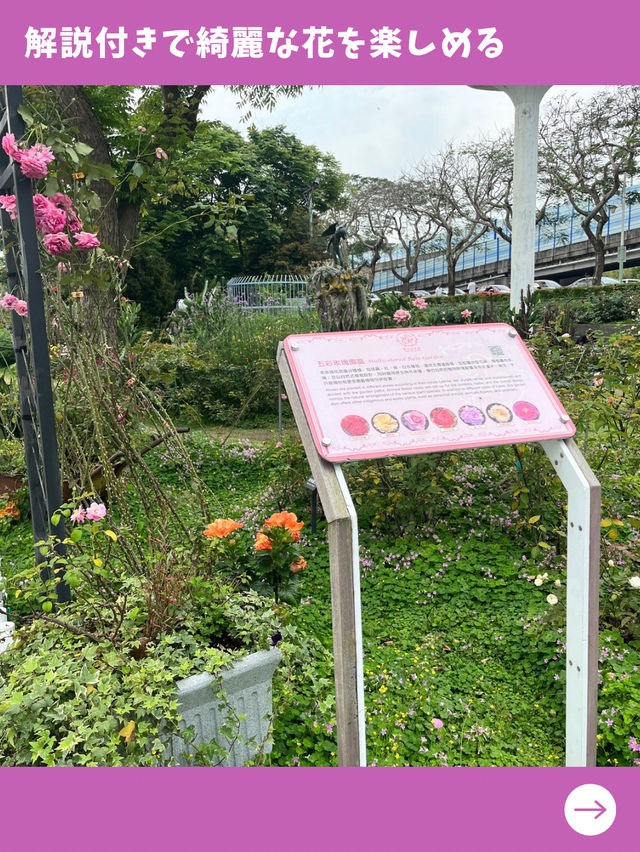 【台北女一人旅】松山空港近く！無料で英国庭園が楽しめる隠れスポット！