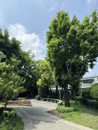 台北｜圓山一日遊｜歷史、文化與自然的完美體驗