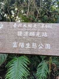 最親近台北的森林步道～富陽及黎和自然生態公園走走
