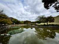 Echoes of the Past, Bonds of Today: A Family’s Daeneungwon Reflections