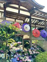 【栃木】境内には思考を凝らしたフォトスポットがたくさん！！