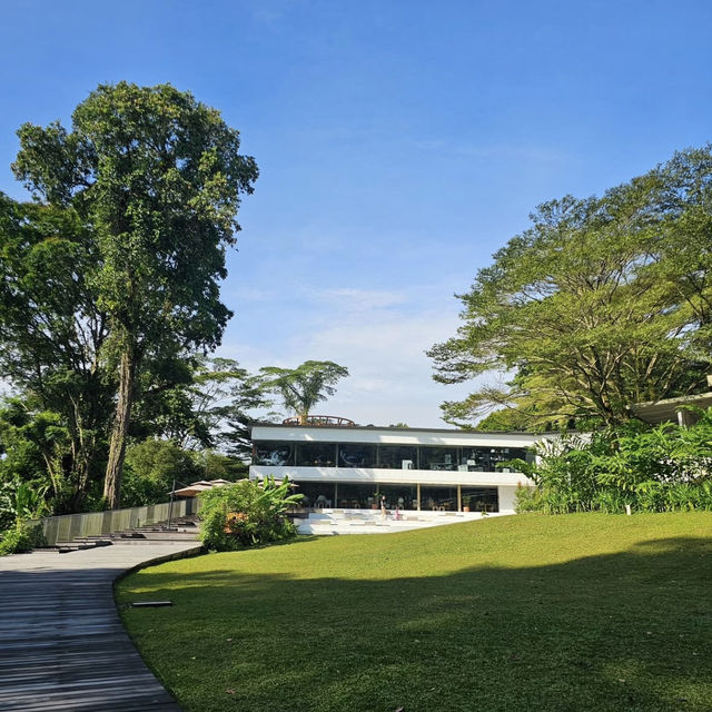 🇸🇬 食を通じて環境や社会への配慮をしているレストラン