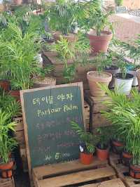 ☕️ “들판 한가운데 내 마음까지 쉬어가는 곳 – 제주 보름왓 카페”