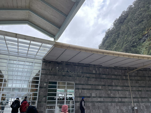 紐西蘭南島｜Milford Sound｜雨神眷顧的世界遺產，細雨中的壯麗峽灣