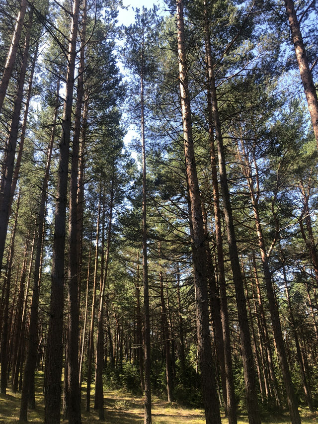 1 Day Itinerary Juodkrante, Lithuania 🇱🇹