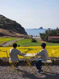 아이와 함께 노란 봄빛 속으로 들어간 기분🌼