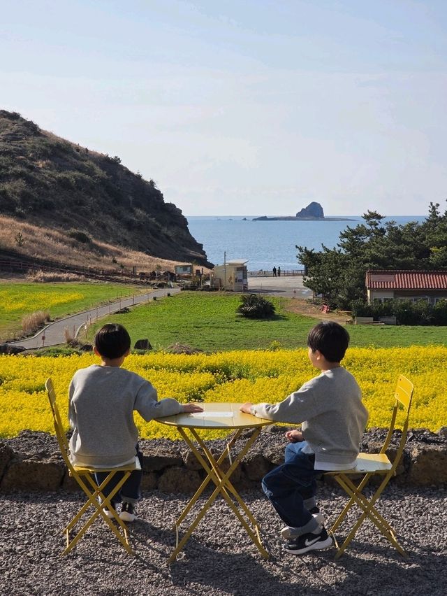 아이와 함께 노란 봄빛 속으로 들어간 기분🌼