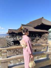 🌸 เกียวโต: เมืองหลวงเก่าที่เปี่ยมด้วยเสน่ห์