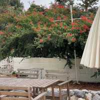 Orai Cafe khaoyai 