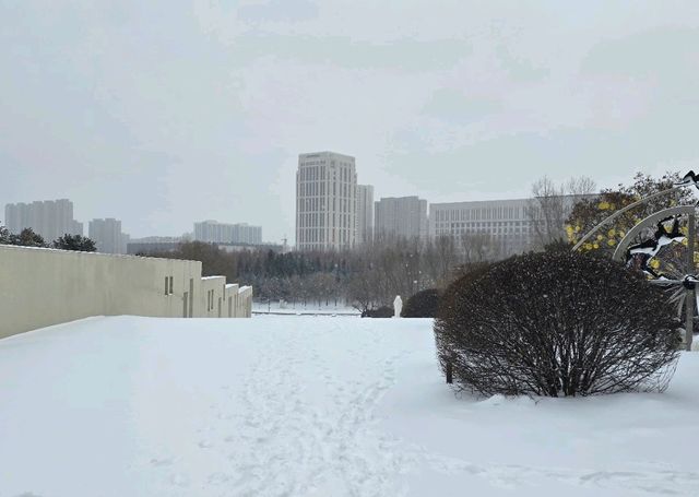 겨울왕국이 된 창춘 세계조소원