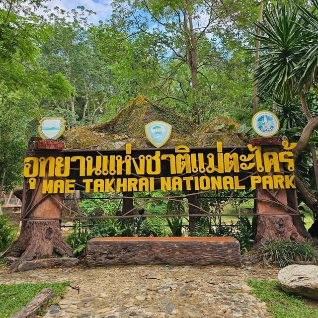 🌿เที่ยวอุทยานแม่ตะไคร้ | กางเต้นท์ นั่งชิล☘️