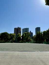 A Chill Weekend in Myogadani, Bunkyo City, Tokyo