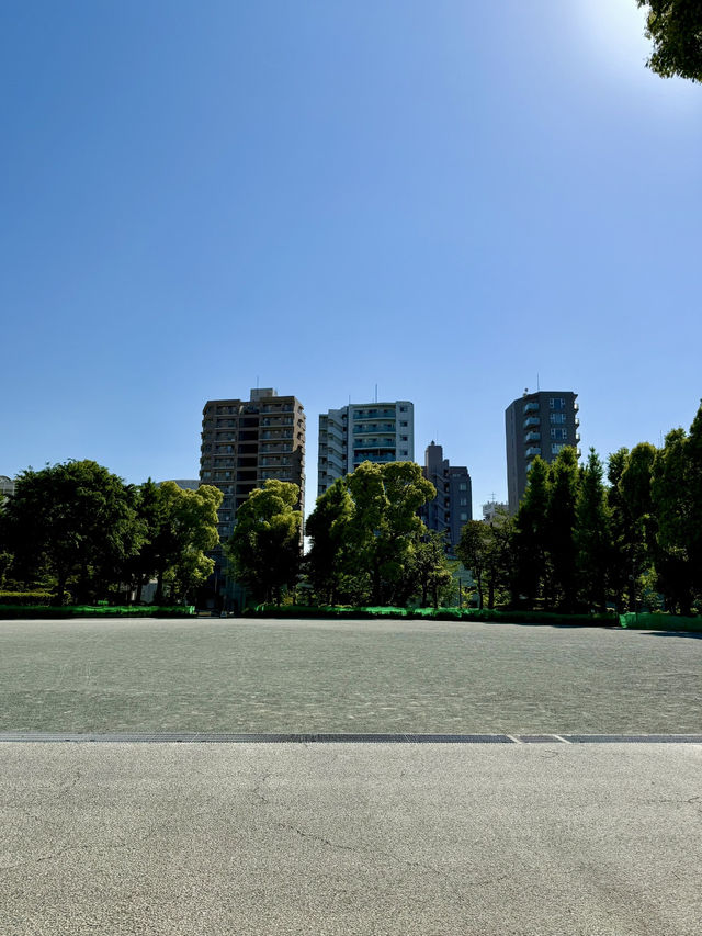 A Chill Weekend in Myogadani, Bunkyo City, Tokyo
