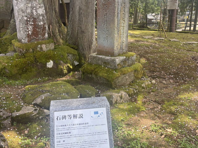  福井：冷門的白山神社探險🍃⛩️