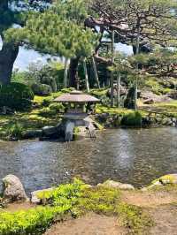 Strolling Through Serenity