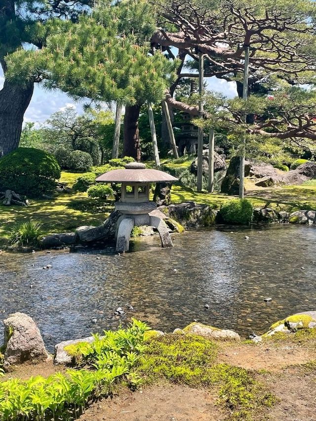 Strolling Through Serenity