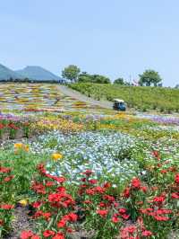 大分県　阿蘇くじゅう国立公園内 くじゅう花公園
