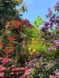 love scouting for a good walk that is full of nature and a complete opposite experience to a grey