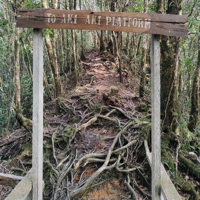 Hiking Feels, Sabah. Worth the Sweat