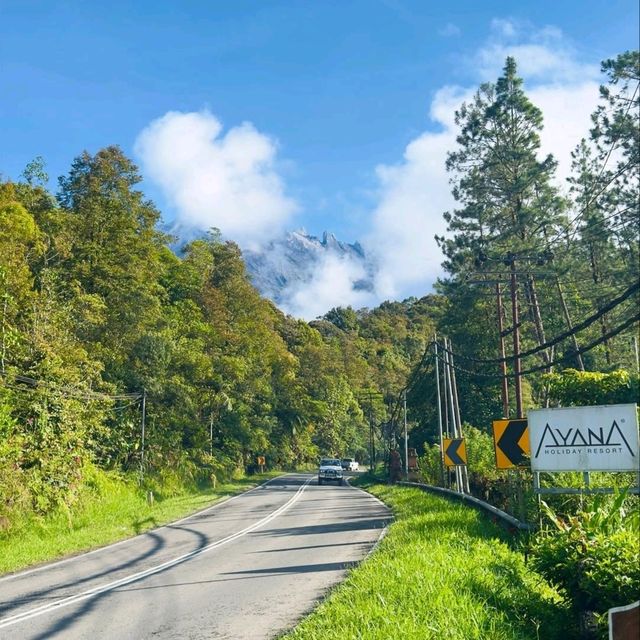Mountain Air & Chill Feels: Spring Road Trip