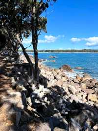 Tauranga – Where Coastal Charm Meets Adventure
