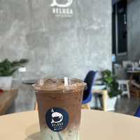คาเฟ่คนรักแมว