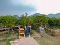 move to mountain cafe