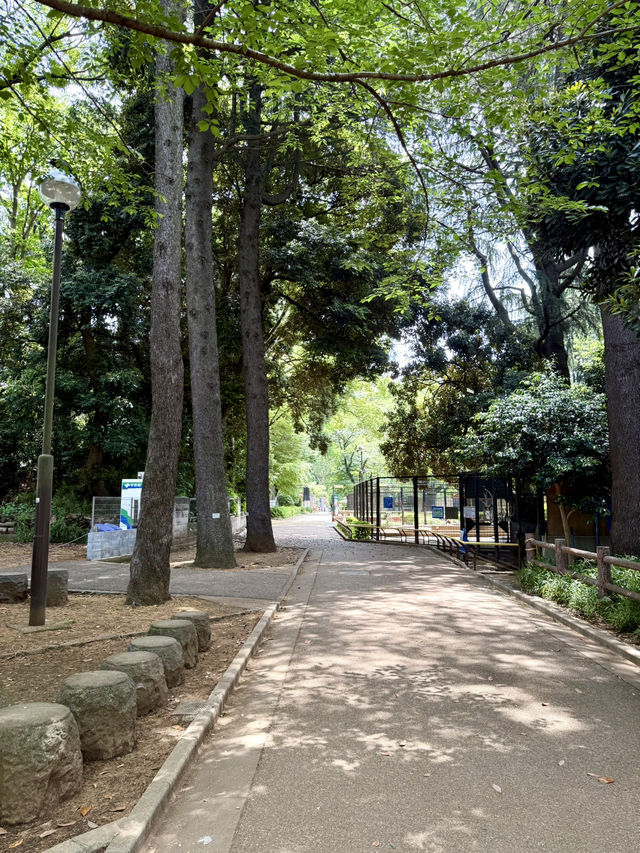 📍 夢見ヶ崎動物公園/神奈川