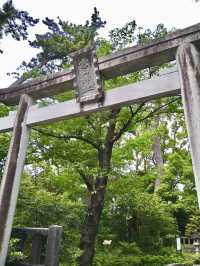A Peaceful Day in Samukawa – Shrines, Sakura & a Slow Walk