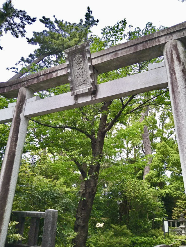 A Peaceful Day in Samukawa – Shrines, Sakura & a Slow Walk