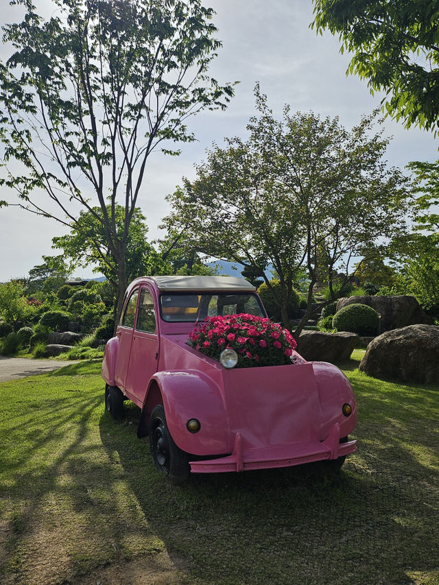 야외데이트 장소는 바로 여기! 순천만국가정원 🌿♥️